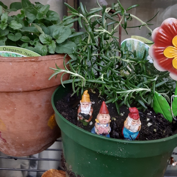 Meet your Posher, Mss - Picture 1 of 1